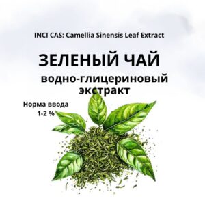 Зелёный чай экстракт
