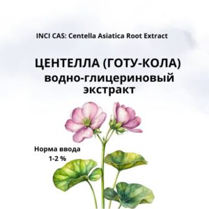 Центелла азиатская (Готу кола) экстракт