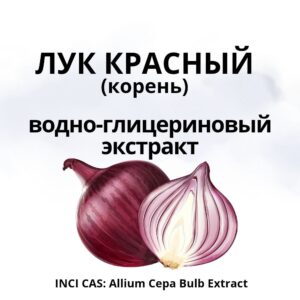 Лук красный экстракт